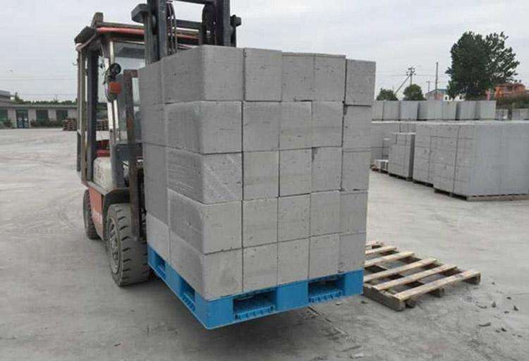 叉車與滿載的塑料托盤 叉車與滿載的塑料托盤